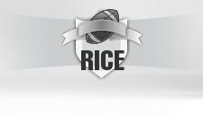 Rice Owls