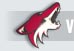 Away Team Logo