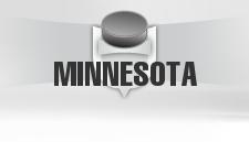 Minnesota Wild